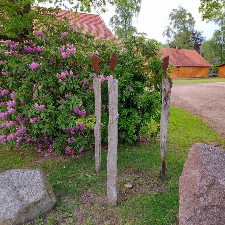 Roehrshof Apartman Bispingen Kültér fotó